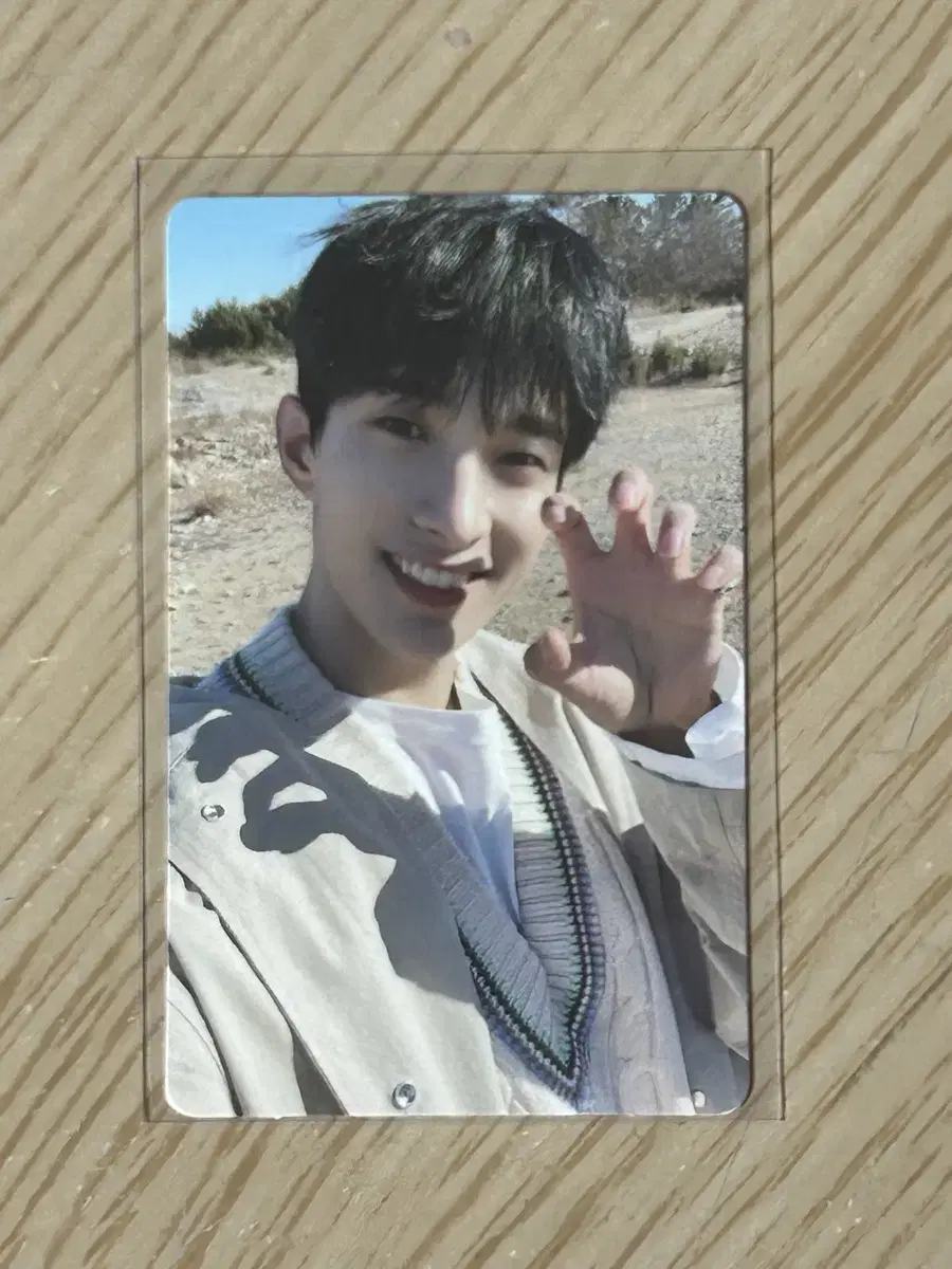 세븐틴 도겸 포카 판매